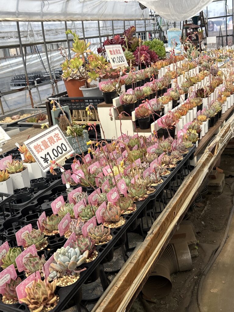中山園芸