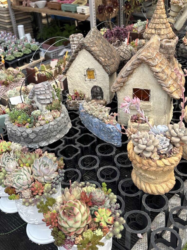 寄せ植え