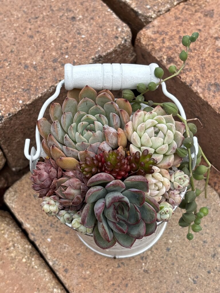 仕立て直し後