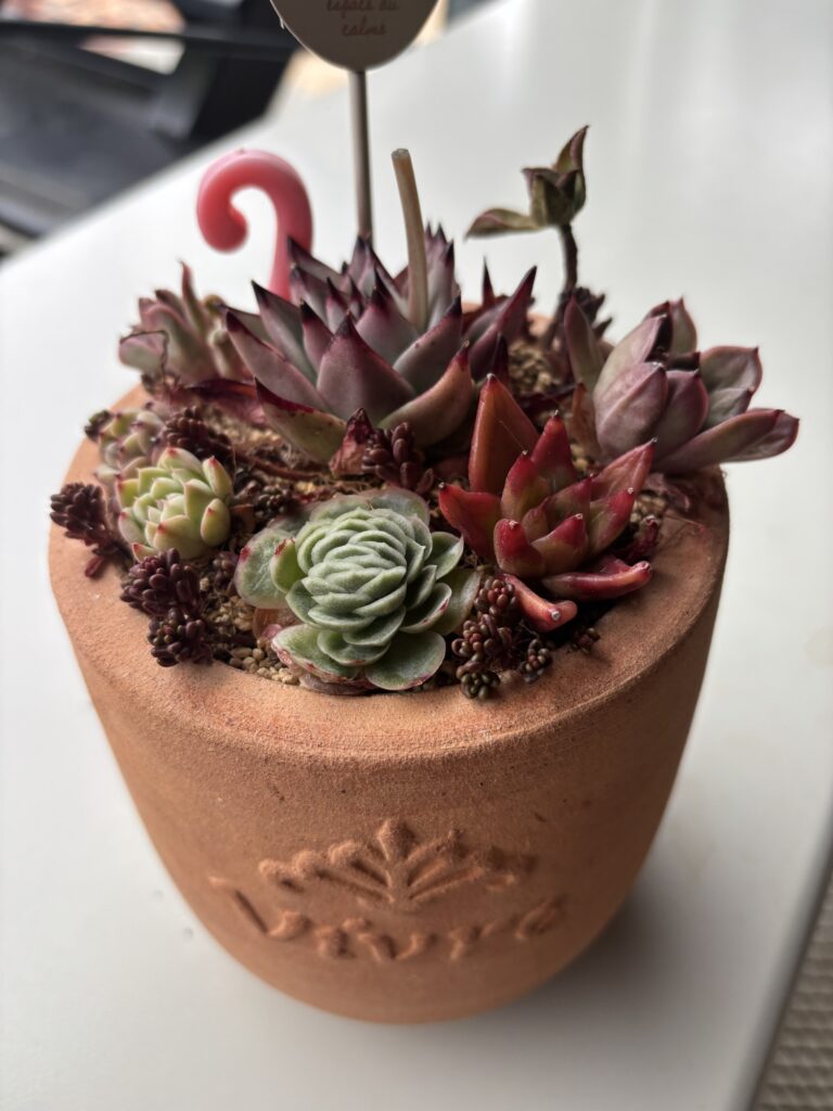 仕立て直し前