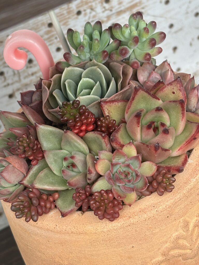 仕立て直し後