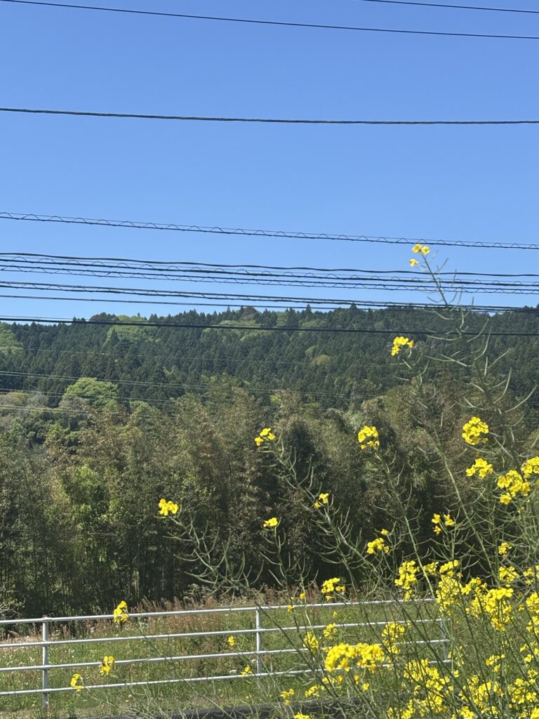 天気