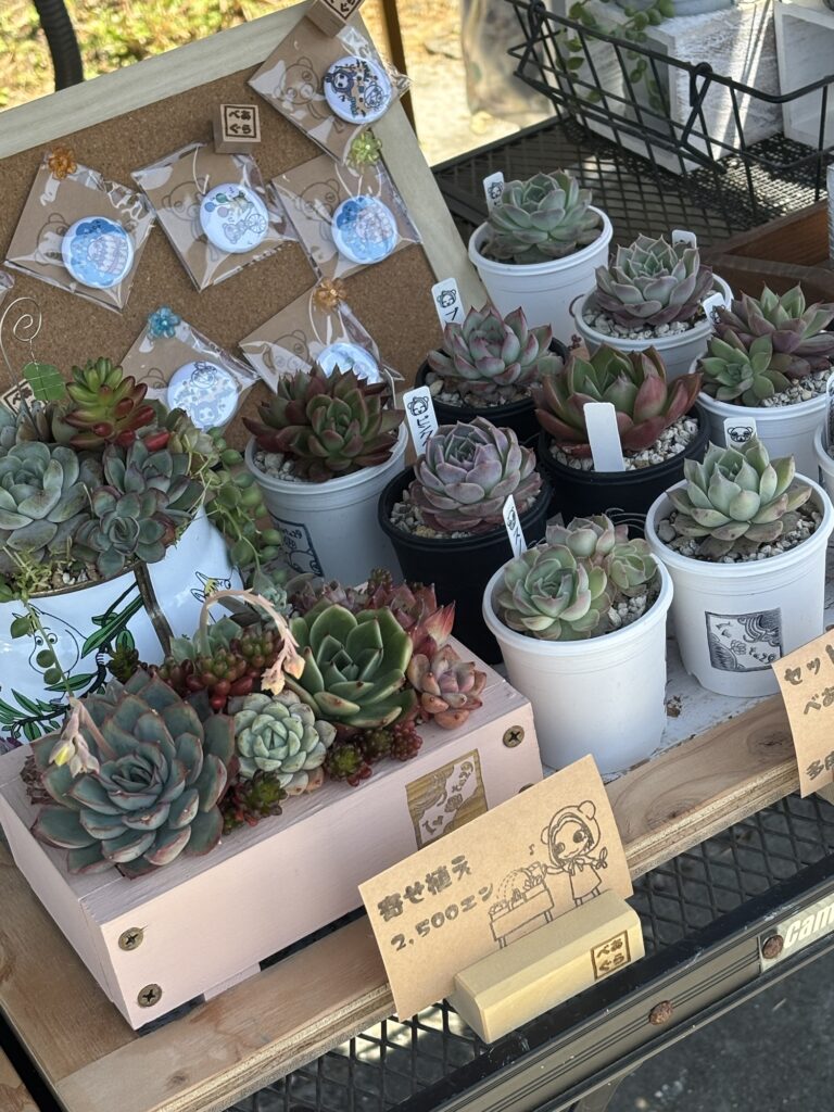 寄せ植え