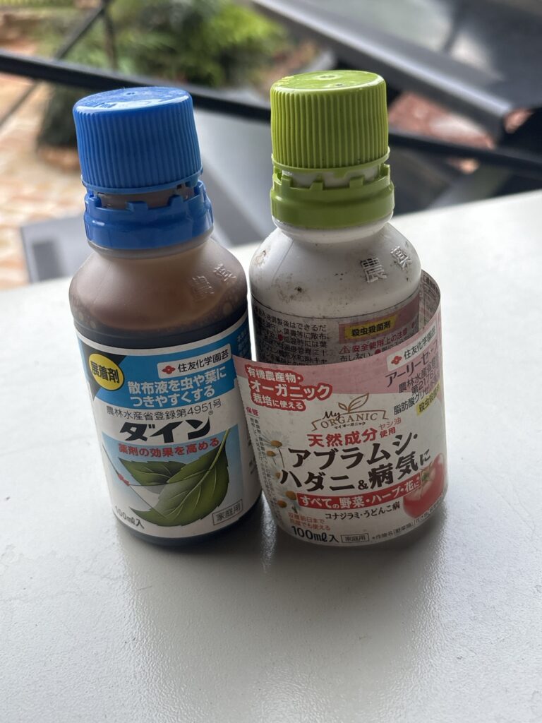 薬