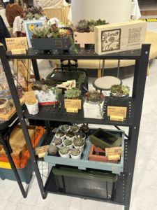 屋内マルシェの陳列