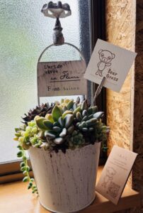ケーキショップに飾ってある寄せ植え