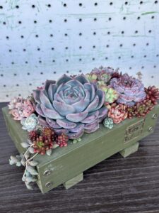 木製プランターの寄せ植え