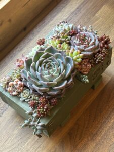 木製プランターの寄せ植え