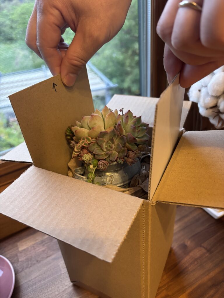 ミルク缶寄せ植えの梱包①